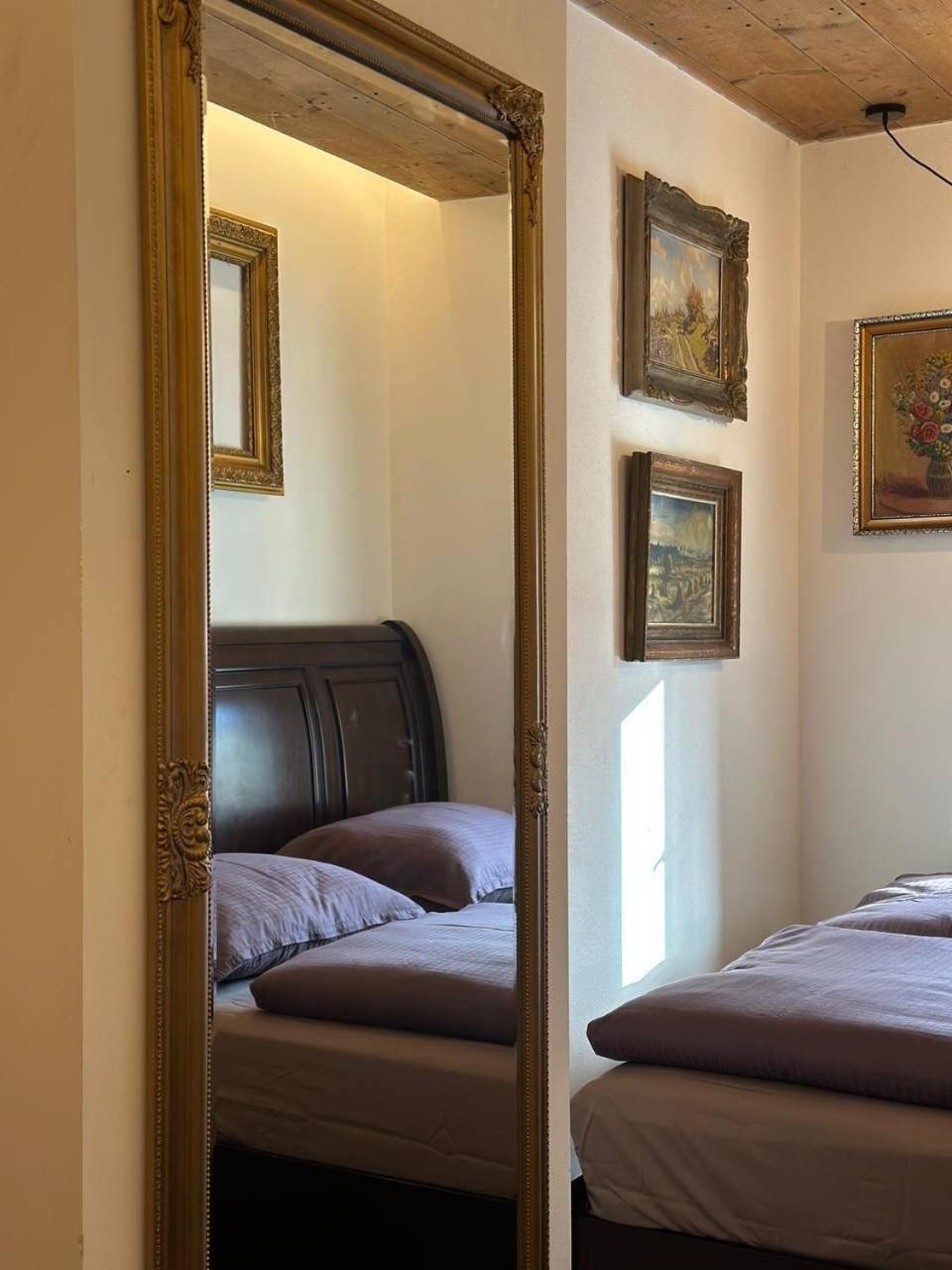 Pension Merano Jetrichovice  Bagian luar foto